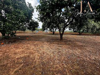 Terreno en venta en Zona Universitaria  en Bormujos