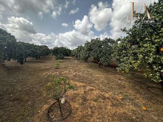 Terreno en venta en Zona Universitaria  en Bormujos