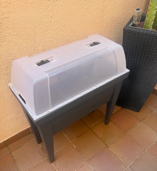Huerto urbano con invernadero