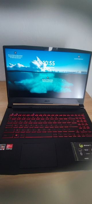 Portátil gaming MSI Bravo 15