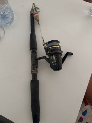 Caña Pesca usada