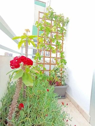 Piso en venta en Playa Jardín en Puerto de la Cruz