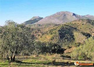 Terreno en venta en Archidona