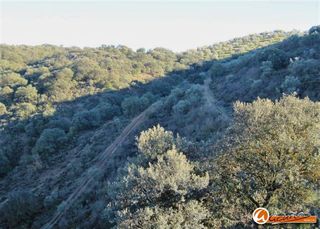 Terreno en venta en Archidona