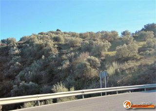 Terreno en venta en Archidona