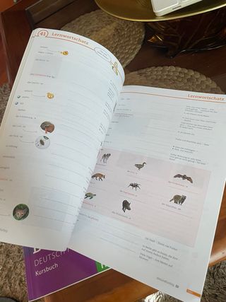 libro alemán de texto B1
