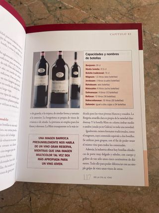 El mundo del vino (Miniprácticos) (Spanish Edit...