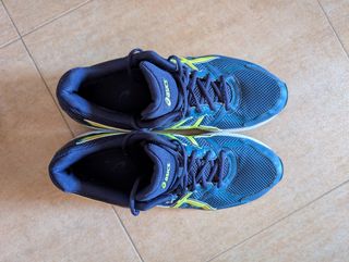 Zapatillas Asics Gel Zone 46