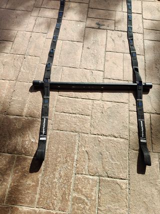 TRX Suspension Straps