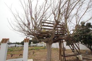 Chalet en venta en Pinar de los Franceses - Marquesado en Chiclana de la Frontera