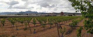 Casa rural en venta en Monforte del Cid