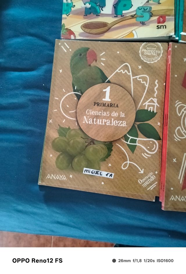 Libros de texto 1 primaria