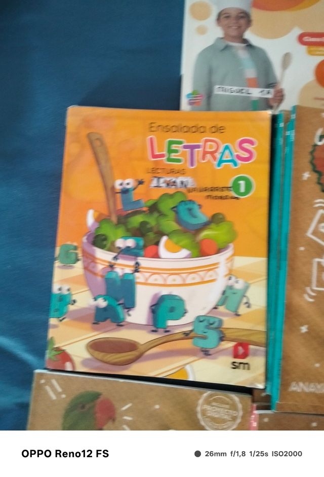 Libros de texto 1 primaria