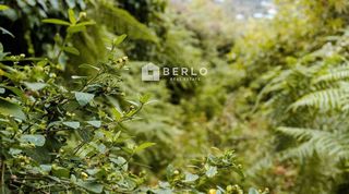 Terreno en venta en Breña Alta
