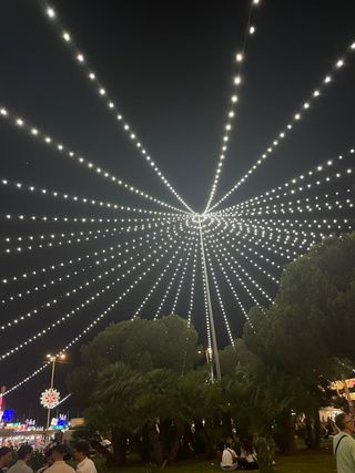 Limpieza General
