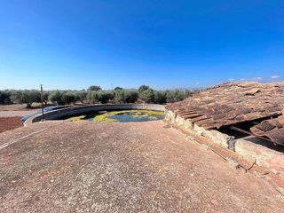 Terreno en venta en Pobla (Sa)