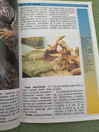 Iguanas (Salvemos La Naturaleza / Let's Save Na...