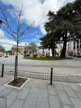 Local comercial en alquiler en Casco Antiguo - Centro en Badajoz