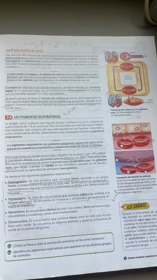 Biología, Geología y Ciencias Ambientales 1 Bac...