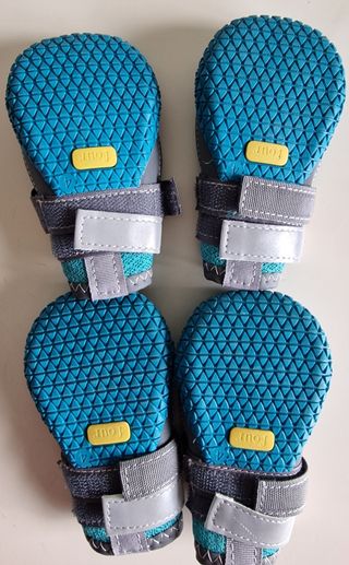 4 Zapatos Perro - Patas Protegidas
