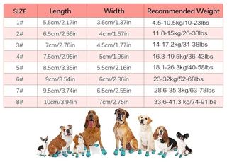 4 Zapatos Perro - Patas Protegidas