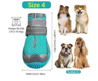 4 Zapatos Perro - Patas Protegidas