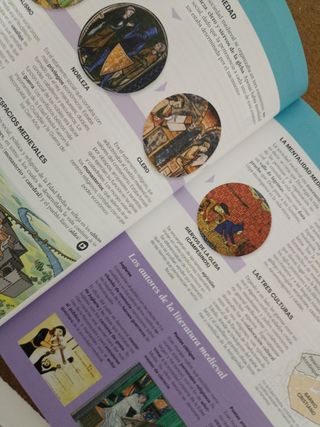 Lengua castellana y Literatura por tareas 3 ESO...