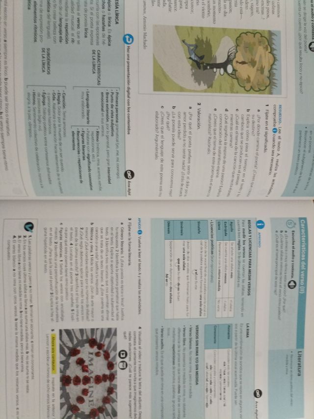 Lengua castellana y Literatura por tareas 3 ESO...