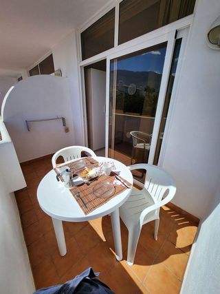 Estudio en alquiler en Zona Botánico en Puerto de la Cruz