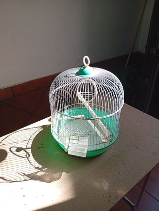 Jaula pajaros metalica verde