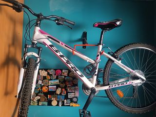 Bicicleta BPro montaña
