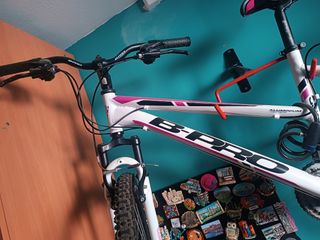 Bicicleta BPro montaña