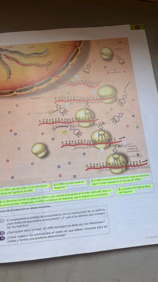 Inicia Biología y Geología 4.º ESO. Libro del a...