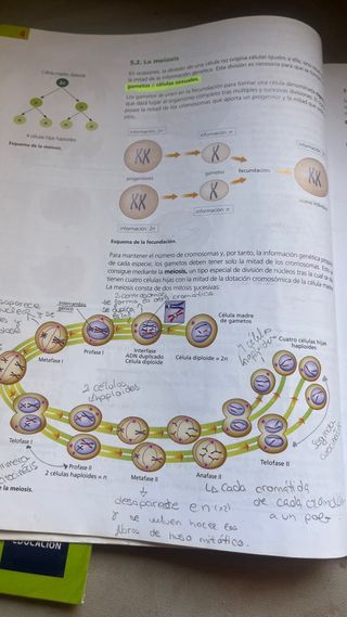 Inicia Biología y Geología 4.º ESO. Libro del a...
