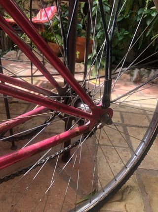 Bicicleta Clásica Orbea