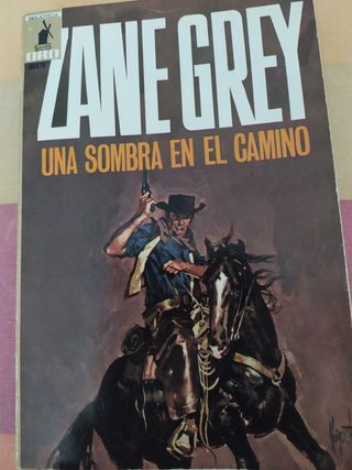 UNA SOMBRA EN EL CAMINO 