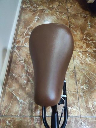 Bicicleta sin pedales Runride 50