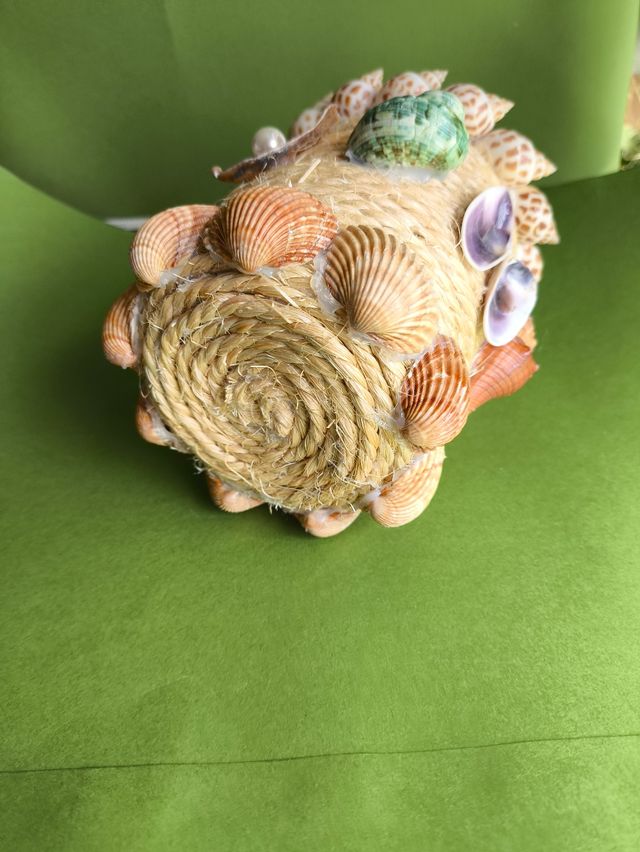 Maceta conchas marinas