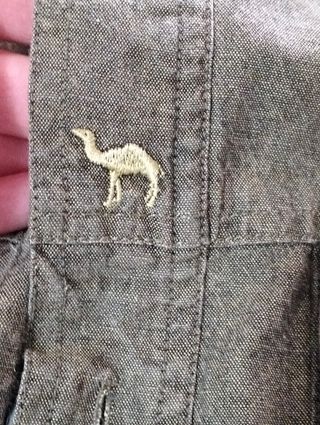 Camicia verde oliva & sciarpa multicolor