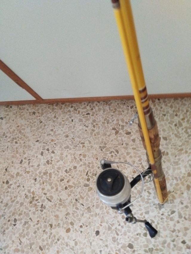 Caña de pescar vintage