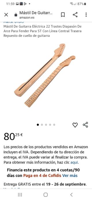 Mástil/cuello guitarra 