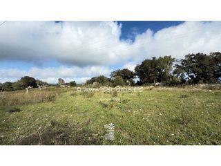 Solar en venta en Artà