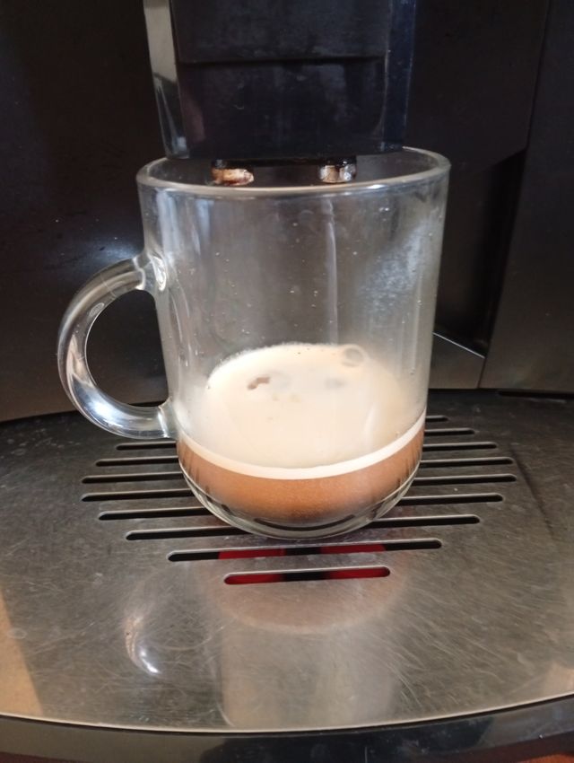 Cafetera DeLonghi Magnifica