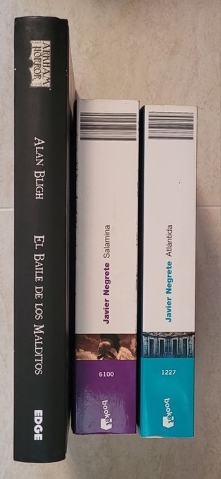Lote libros fantasía e histórica. 