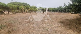 Terreno en venta en Las Tres Piedras - Costa Ballena en Chipiona