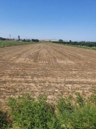 Terreno en venta en Rojales en Rojales