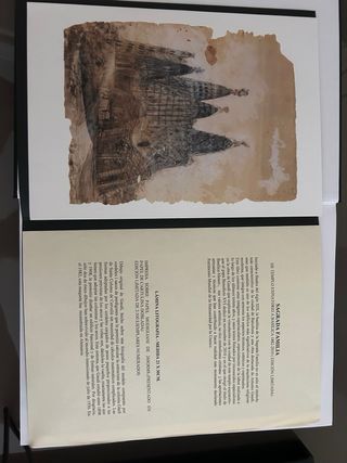 Sagrada Familia: Edición Limitada libro con DVD