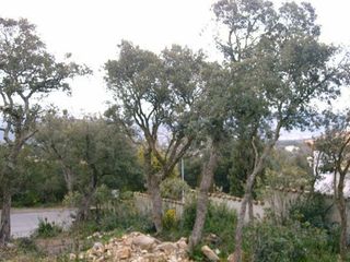 Solar en venta en Can Semi - Mas Nou - Mas Ros en Castell-Platja d´Aro