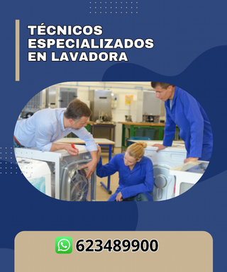 Reparamos desde lavadoras hasta hornos