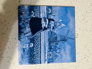 Piastrella Delft - Quadro Ceramica Olandese